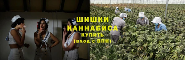 PSILOCYBIN Балахна