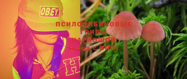 PSILOCYBIN Балахна