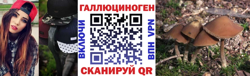 Псилоцибиновые грибы Magic Shrooms  Севск 